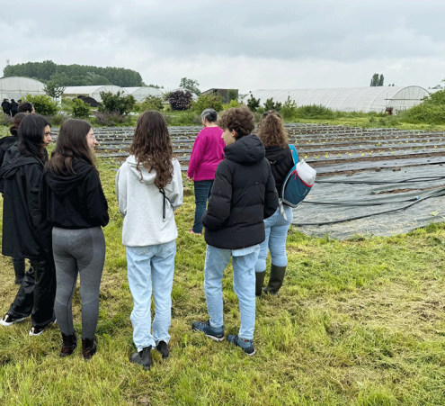 Un potager pour cultiver le bien-&ecirc;tre des jeunes hospitalis&eacute;s