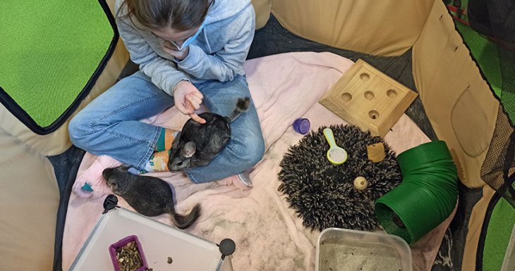 Des animaux s&rsquo;invitent au CHI Cr&eacute;teil