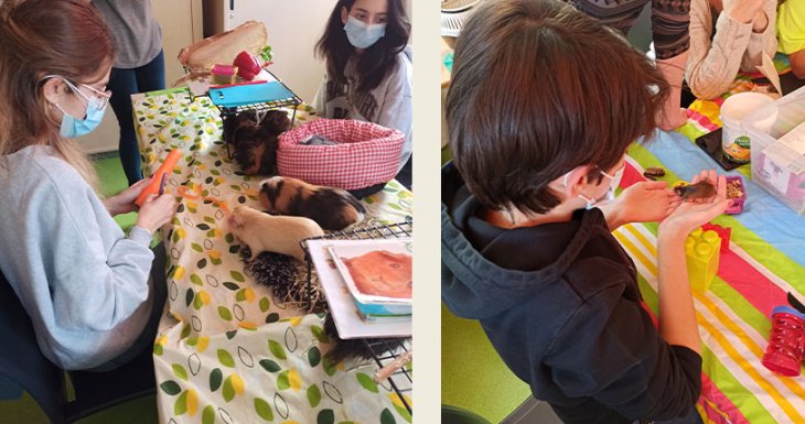 Des animaux s&rsquo;invitent au CHI Cr&eacute;teil