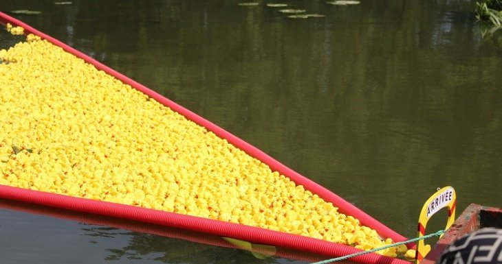 La Course de P&#039;tits Canards est de retour &agrave; Landrecies !